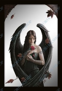 nástěnné zrcadlo Anne Stokes - Angel Rose