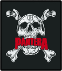 nášivka na záda, zádovka Pantera - skull, logo